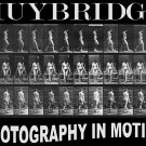 11508.Decorative Poster.Wall art decor.Muybridge photography.Nude woman