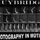 11504.Decorative Poster.Wall art decor.Muybridge photography.Gymnastics