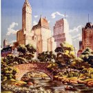 6499.Aviation decor Poster.Airplane flying Central Park.Interior art wall decor