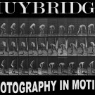 11517.Decorative Poster.Wall art decor.Muybridge photography.Nude man.Gay
