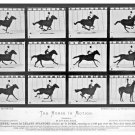 11512.Decorative Poster.Wall art decor.Muybridge photography.Horse motion