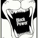 11819.Political Poster.Home Room art wall.Black Panther Power.African American
