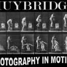 11511.Decorative Poster.Wall art decor.Muybridge photography.Lesbian bath