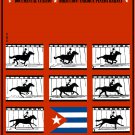 Cuban decor Wall Design movie Poster 4 film""RODEO""running horse art.Cuba
