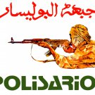 Political poster.POLISARIO Fighter.Muslim.Arab.Socialist Fidayeen History art.26
