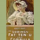 Decoration Poster.Get fat.Victorian food.Fatten u.Weight gain plan.9669 Decoration Poster.Get fat.Victorian food.Fatten u.Weight gain plan.9669