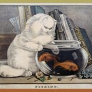 Decoration Poster.White furry cat kitten fishing.9709 Decoration Poster.White furry cat kitten fishing.9709