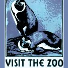 Decorative Poster.Home wall decor.Visit the Zoo.Pinguins.8087 Decorative Poster.Home wall decor.Visit the Zoo.Pinguins.8087