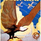 Decorative Poster.Home wall interior.Home room art.Bald eagle.US at WW2.6591 Decorative Poster.Home wall interior.Home room art.Bald eagle.US at WW2.6591