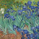 Decoration Poster.Room interior.Art Wall decor.Flowers.Van Gogh.8151