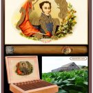 Decorative 11x14 Poster.Cuban classic smokes.Cigar collection.Bolivar.9455 Decorative 11x14 Poster.Cuban classic smokes.Cigar collection.Bolivar.9455