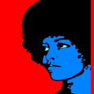 Decorative 11x14 Poster.Freprintedom for Angela Davis.Black Panther.Civil rights America.9528 Decorative 11x14 Poster.Freprintedom for Angela Davis.Black Panther.Civil rights America.9528