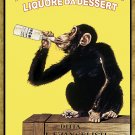 Decorative 11x14 Poster.Anisetta Evangelista drinking monkey bar.9548 Decorative 11x14 Poster.Anisetta Evangelista drinking monkey bar.9548