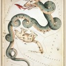 Decorative 11x14 Poster.Home wall decor.Draco Ursula.Astrology stars.7941 Decorative 11x14 Poster.Home wall decor.Draco Ursula.Astrology stars.7941
