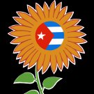 Decorative 11x14 Poster.Home wall decor.Sol de un nuevo dia.Cuban flag and flower.8030 Decorative 11x14 Poster.Home wall decor.Sol de un nuevo dia.Cuban flag and flower.8030