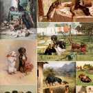 Decorative 11x14 Poster.Home wall decor.Dachshund dogs.Victorian pets.8047