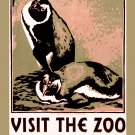 Decorative 11x14 Poster.Home wall decor.Visit the Zoo.Pinguins.8088 Decorative 11x14 Poster.Home wall decor.Visit the Zoo.Pinguins.8088