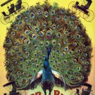 Decorative 11x14 Poster Home wall decor.Peacock Styles.Anchor Buggy Co.Early automobiles.8338