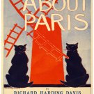 Decorative 11x14 Poster Home wall decor.About Paris.Black cats.Nouveau art.8342 Decorative 11x14 Poster Home wall decor.About Paris.Black cats.Nouveau art.8342