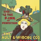 Decorative 11x14 Poster.Art Wall decor.She is the pink of perfection.7866
