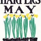 Decorative 11x14 Poster.Growing plants.Yellow flowers.7923 Decorative 11x14 Poster.Growing plants.Yellow flowers.7923