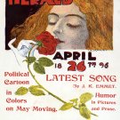 Decorative 11x14 Poster.Art Wall.Room decor.New York Sunday world.Smell rose.8039