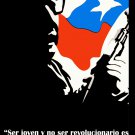 Decorative 8x10 Poster.Salvador Allende.Chile President leader.Political quote.9454