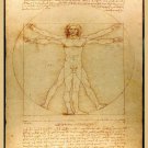 Decoration 8x10 Poster.Leonardo Da Vinci Vetruvian Man.9714