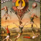 Decoration 8x10 Poster.French Miss Siena.Hot air balloon circus act.9719 Decoration 8x10 Poster.French Miss Siena.Hot air balloon circus act.9719