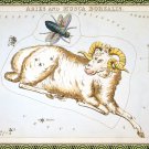 Decoration 8x10 Poster.Astrology Star Chart.Aries.Horoscope.9848