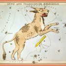 Decoration 8x10 Poster.Astrology Star Chart.Leo.Horoscope.9851