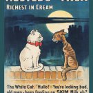 Decoration 8x10 Poster.Nestle Swiss Milk.Skinny hungry cat.9898