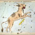Decorative 8x10 Poster.Home wall decor.Lynx and Telescopium Herschilii.7948 Decorative 8x10 Poster.Home wall decor.Lynx and Telescopium Herschilii.7948