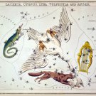 Decorative 8x10 Poster.Home wall decor.Lacerta Cygnus Lyra Vulpecula Anser.7949