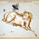 Decorative 8x10 Poster.Home wall decor.Aries and Musca Borealis.7950