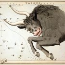 Decorative 8x10 Poster.Home wall decor.Taurus.7951 Decorative 8x10 Poster.Home wall decor.Taurus.7951