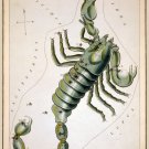 Decorative 8x10 Poster.Home wall decor.Scorpio.7954 Decorative 8x10 Poster.Home wall decor.Scorpio.7954