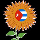 Decorative 8x10 Poster.Home wall decor.Sol de un nuevo dia.Cuban flag and flower.8030 Decorative 8x10 Poster.Home wall decor.Sol de un nuevo dia.Cuban flag and flower.8030