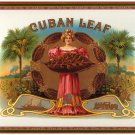 Decorative 8x10 Poster.Interior design.Caridad del Cobre.Cuban religion.6511 Decorative 8x10 Poster.Interior design.Caridad del Cobre.Cuban religion.6511