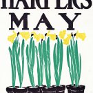 Decorative 8x10 Poster.Growing plants.Yellow flowers.7923 Decorative 8x10 Poster.Growing plants.Yellow flowers.7923