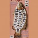 Decoration 8x10 Poster.Wall art design.50 fish for american waters.Fishing.10303 Decoration 8x10 Poster.Wall art design.50 fish for american waters.Fishing.10303