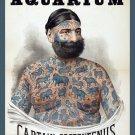 Decoration 8x10 Poster.Wall art design.Captain Costentenus.Tattoo novelty.head to toe.10368 Decoration 8x10 Poster.Wall art design.Captain Costentenus.Tattoo novelty.head to toe.10368