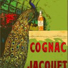 Decoration 8x10 Poster.Room art wall design.Peacock.8937