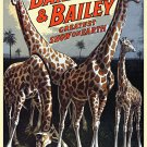 Decoration 8x10 Poster.Room art wall design.Circus giraffe.9005 Decoration 8x10 Poster.Room art wall design.Circus giraffe.9005