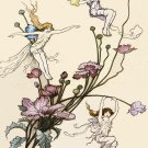 Decoration 8x10 Poster.Room art wall design.Fairies story.9159