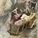 Decoration 8x10 Poster.Room art wall design.Fairies story.9164