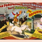 Decoration 8x10 Poster.Room art wall design.Circus.Horses.9229