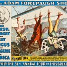 Decoration 8x10 Poster.Room art wall design.Circus.9243