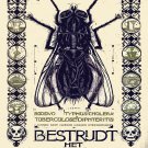 Decoration 11x14 Poster.Room art wall design.Fly.Tuberculosis carrier.8984