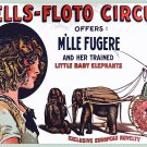 Decoration 11x14 Poster.Room art wall design.Circus.Dwarf elephants.9026